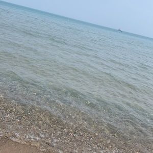 Meet your Posher, Judith